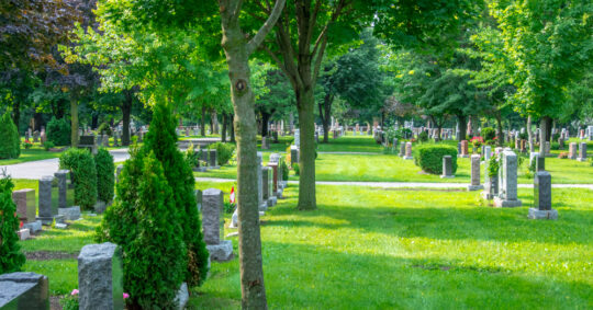 Peaceful bright green graveyard with headstones