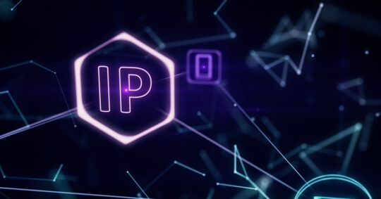 IP in an internet web